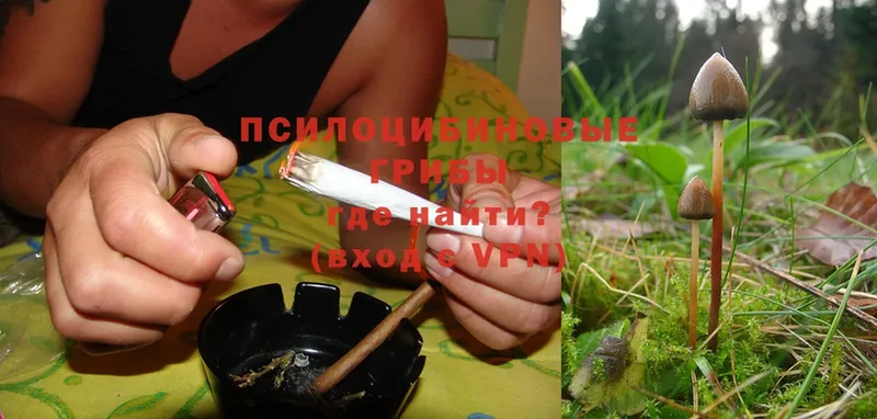 Галлюциногенные грибы Cubensis  где продают наркотики  OMG ТОР  Шиханы 